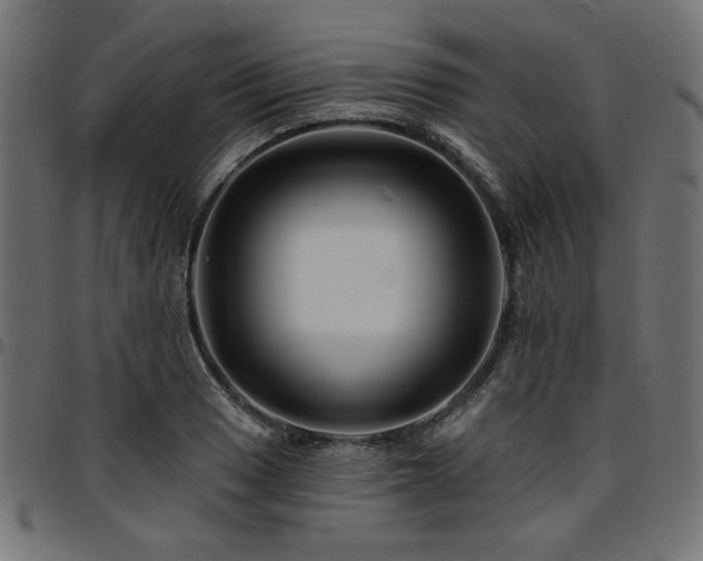 X0000095531033200712141458
