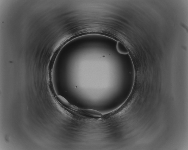 X0000095531034200712141458