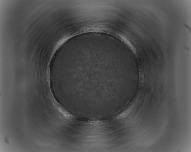 X0000095531035200712141458