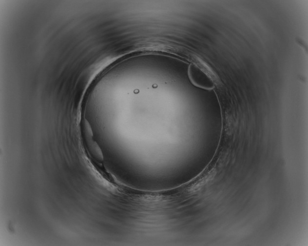 X0000095531036200712141458