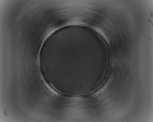 X0000095531037200712141458