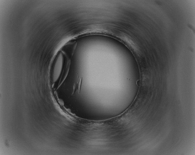 X0000095531038200712141458