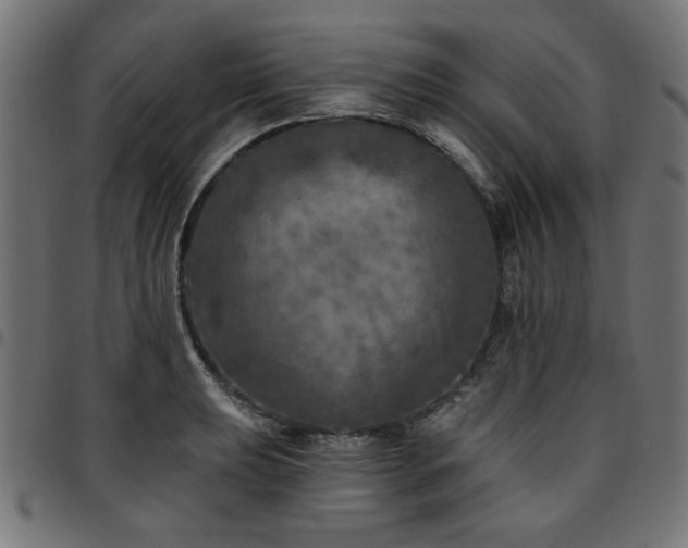 X0000095531039200712141458
