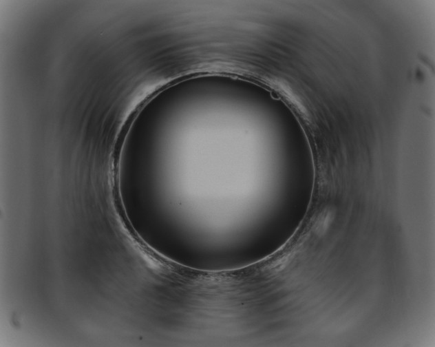 X0000095531040200712141458