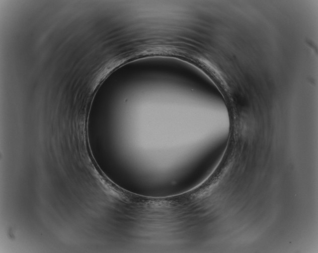 X0000095531041200712141458