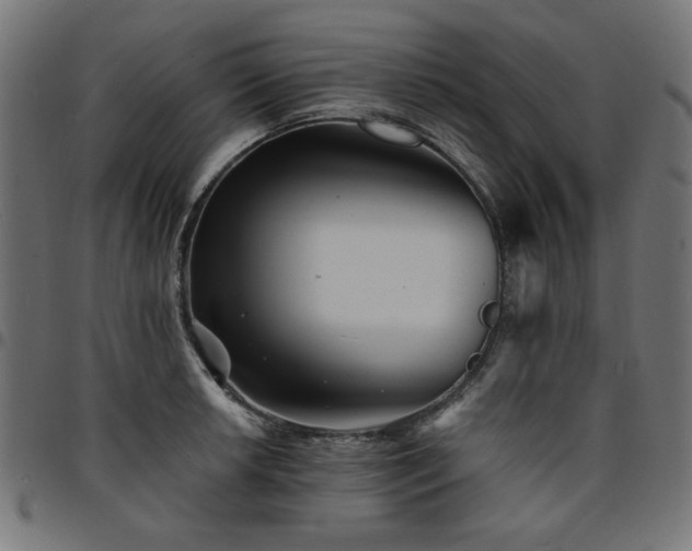 X0000095531042200712141458