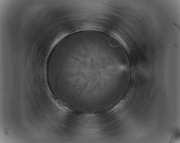 X0000095531043200712141458