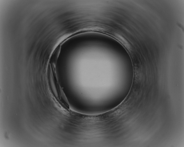 X0000095531044200712141458