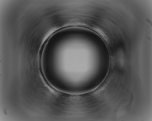 X0000095531046200712141458