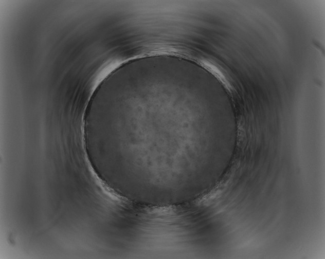 X0000095531047200712141458