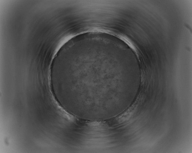 X0000095531048200712141458