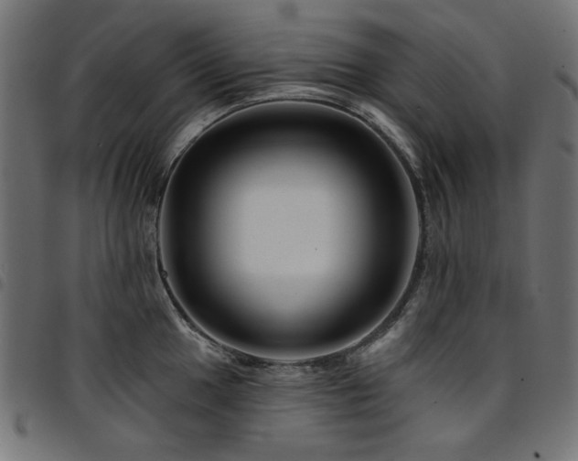 X0000095531049200712141458
