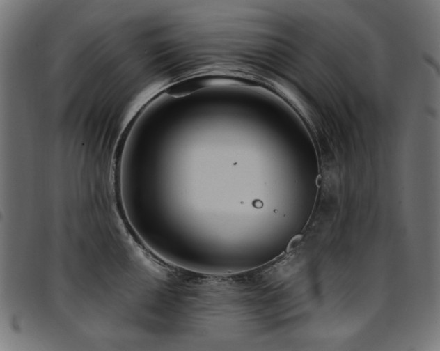 X0000095531050200712141458