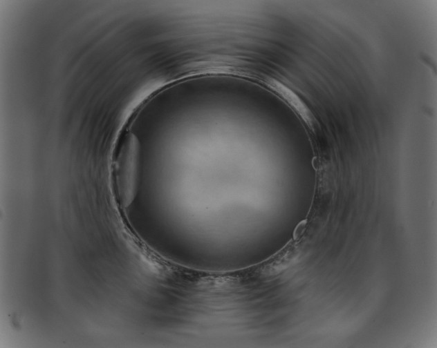 X0000095531051200712141458