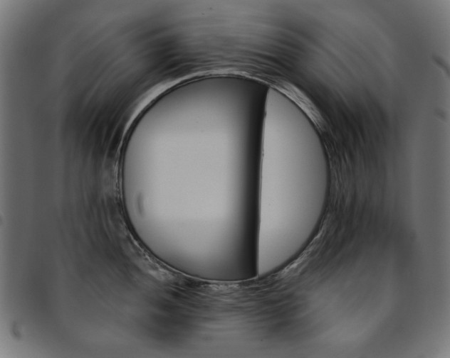 X0000095531052200712141458