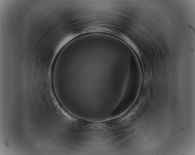 X0000095531053200712141458