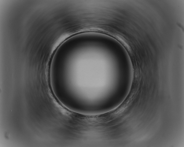 X0000095531054200712141458