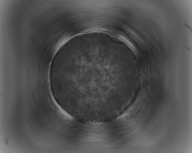 X0000095531055200712141458