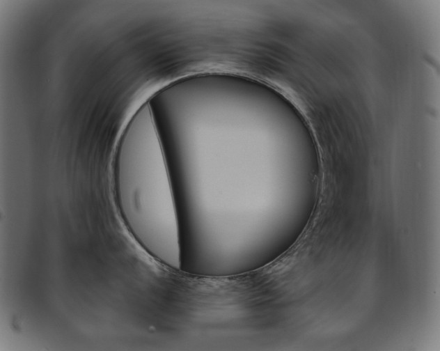 X0000095531056200712141458