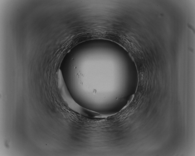 X0000095531057200712141457