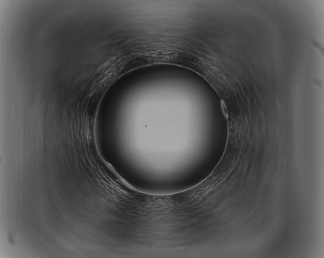 X0000095531058200712141457