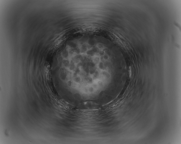 X0000095531059200712141457