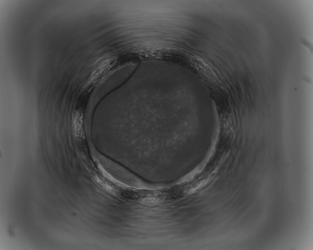 X0000095531060200712141457