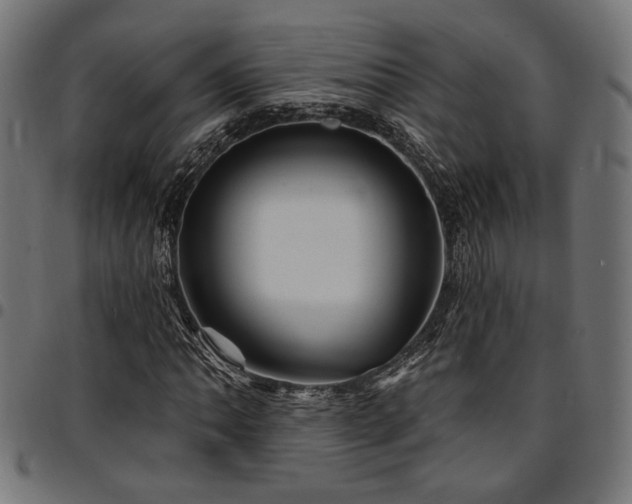 X0000095531062200712141457