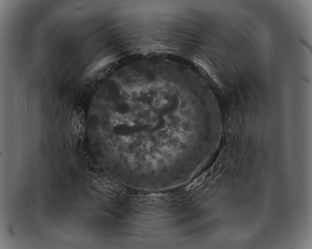 X0000095531063200712141457