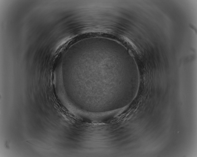 X0000095531064200712141457