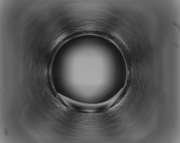 X0000095531065200712141457