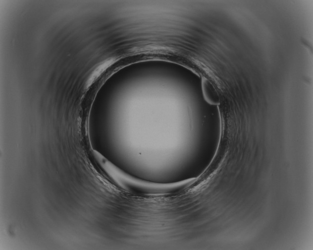 X0000095531066200712141457