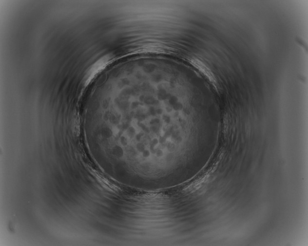 X0000095531067200712141457