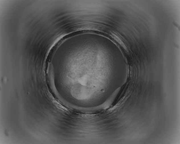 X0000095531068200712141457