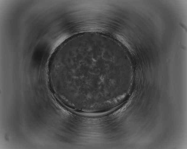 X0000095531071200712141457