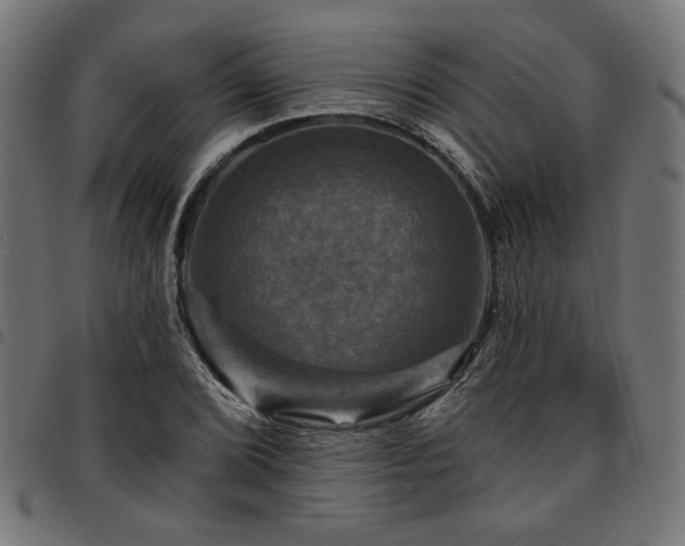 X0000095531072200712141457
