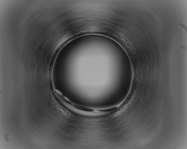 X0000095531073200712141457