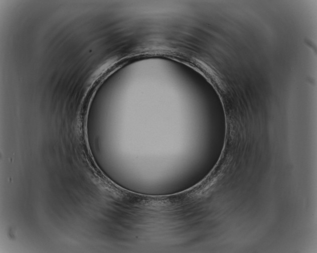 X0000095531074200712141457