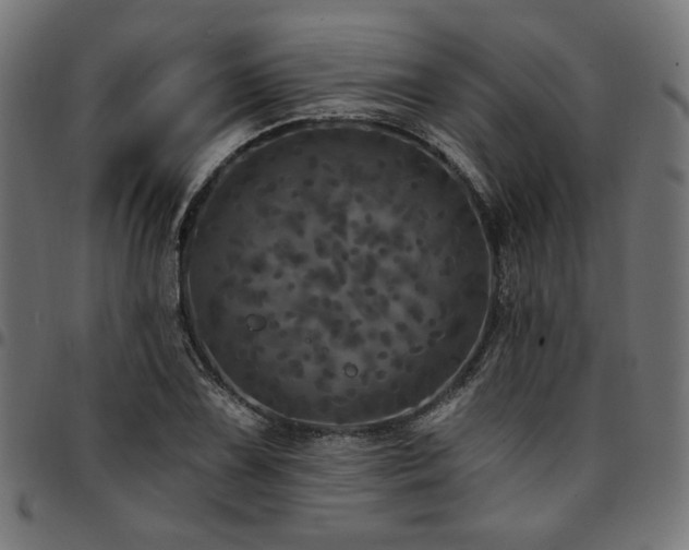 X0000095531075200712141457