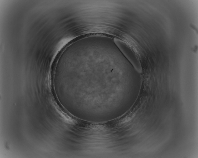 X0000095531076200712141457