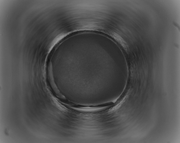 X0000095531077200712141457