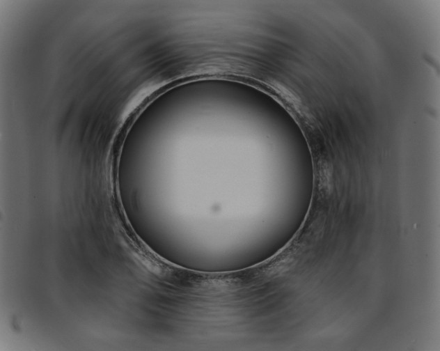 X0000095531078200712141457