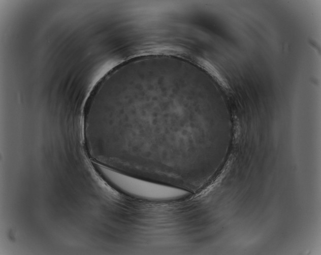 X0000095531079200712141457