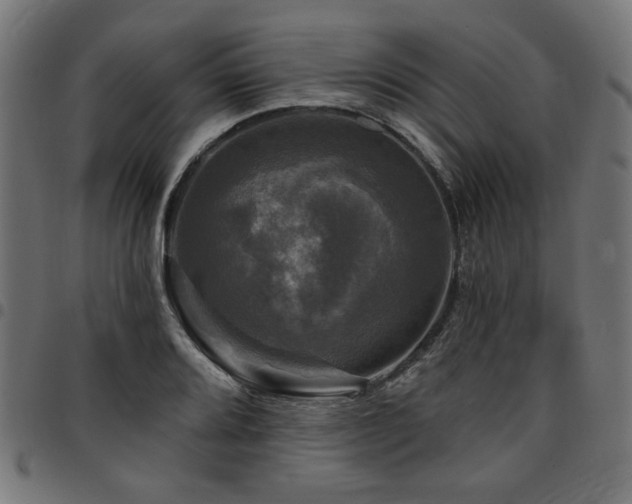 X0000095531080200712141457