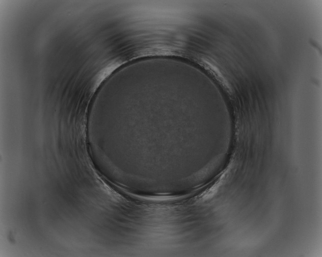 X0000095531081200712141457