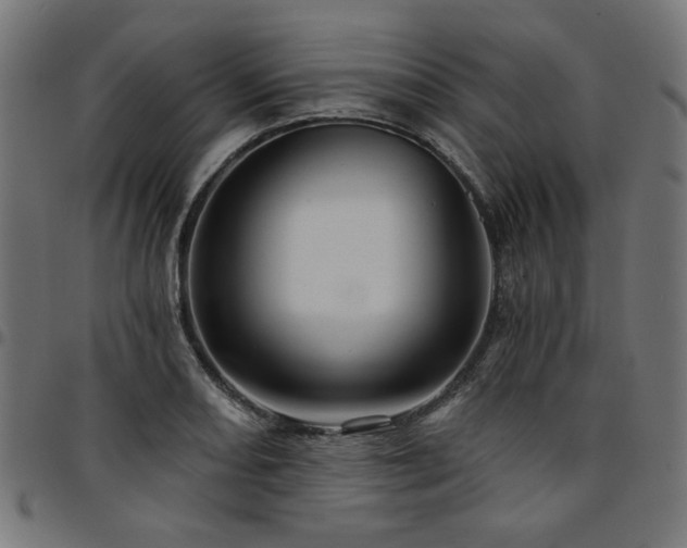 X0000095531082200712141457