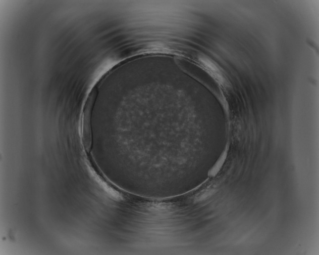 X0000095531084200712141457