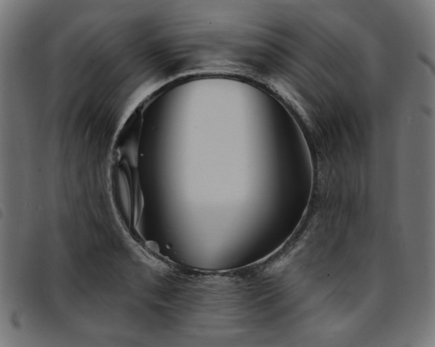 X0000095531085200712141457