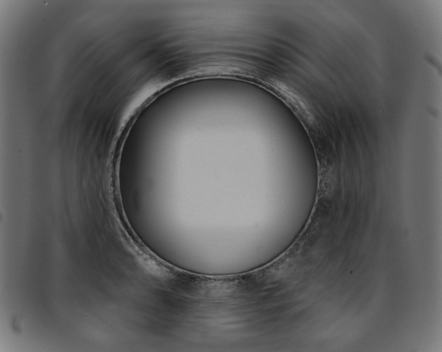 X0000095531086200712141457