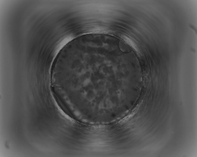 X0000095531087200712141457